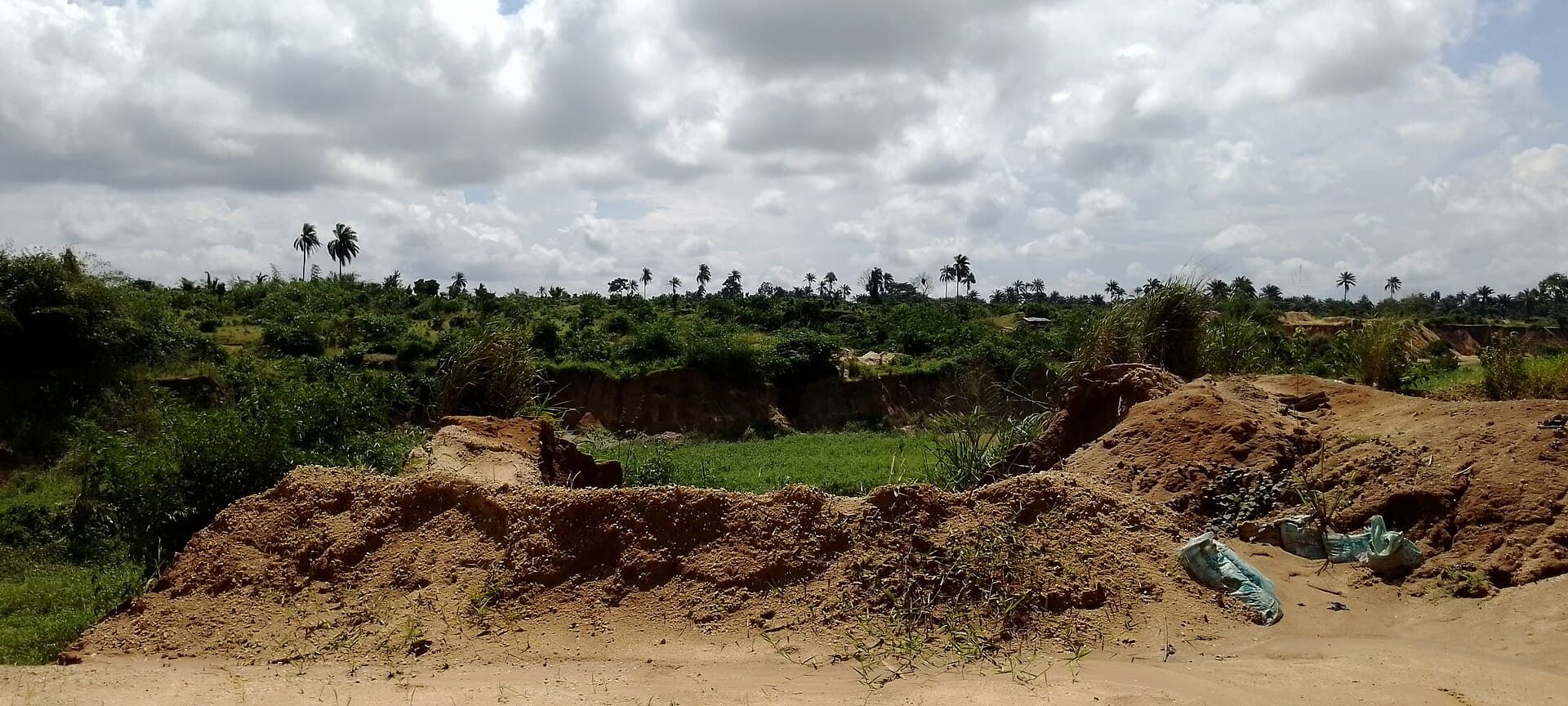 Unmanaged waste land in need of recovery