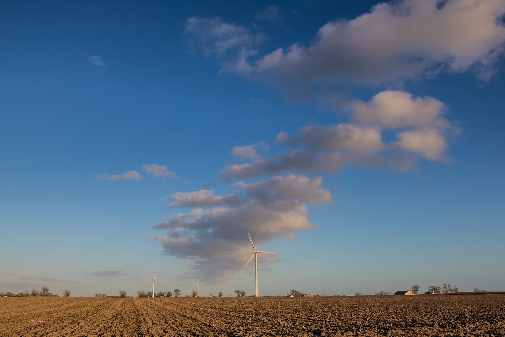 Wind energy in the field